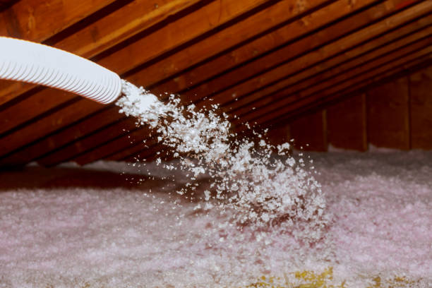 Best Spray Foam Insulation  in Ypsilanti, MI