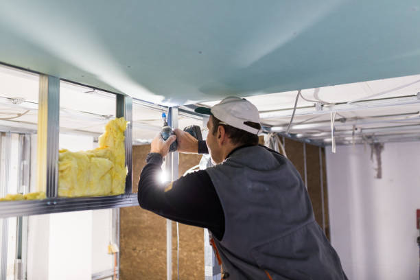 Best Professional Insulation Contractor  in Ypsilanti, MI