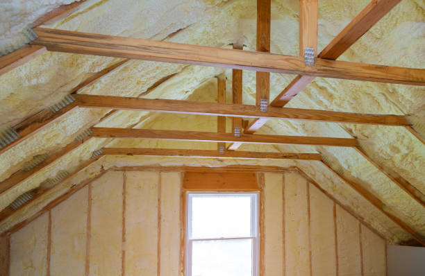 Best Local Insulation Services  in Ypsilanti, MI