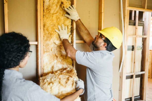 Best Fiberglass Insulation  in Ypsilanti, MI