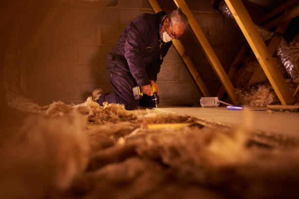 Best Crawl Space Insulation  in Ypsilanti, MI